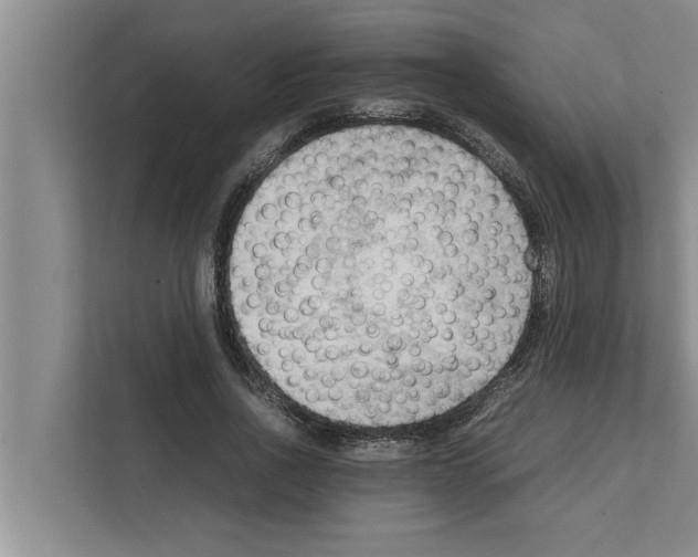 X0000111600734200908271008