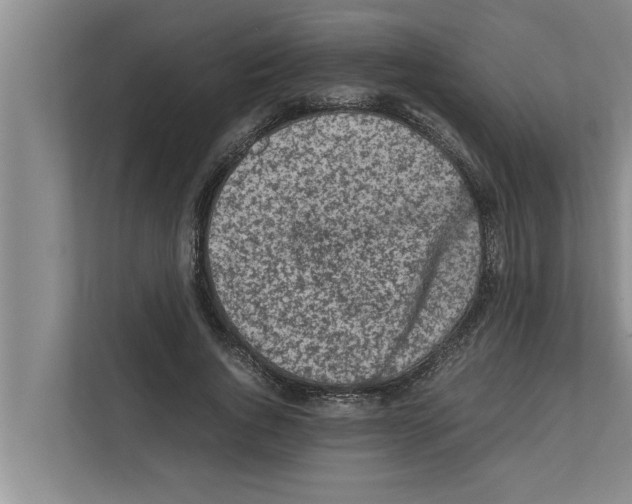 X0000111600736200908271008