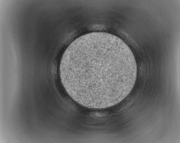 X0000111600739200908271008