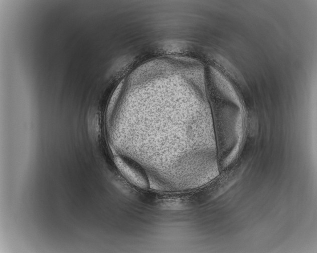 X0000111600740200908271008