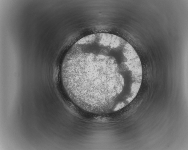 X0000111600742200908271008