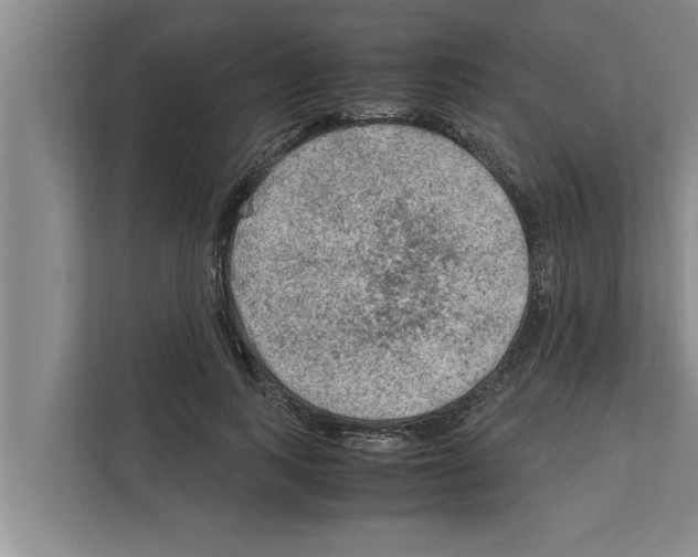 X0000111600743200908271008