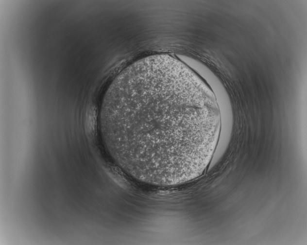 X0000111600744200908271008