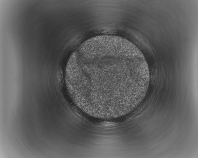 X0000111600748200908271008