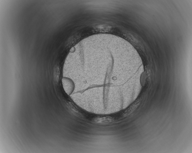 X0000111600752200908271008