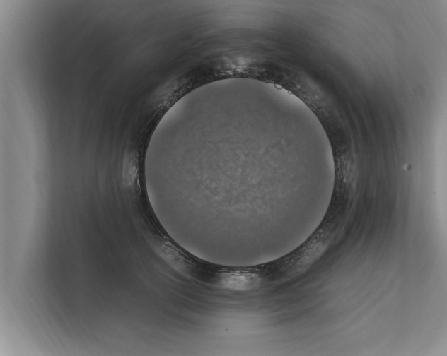 X0000111600754200908271008