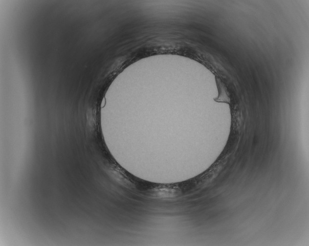 X0000111600756200908271008
