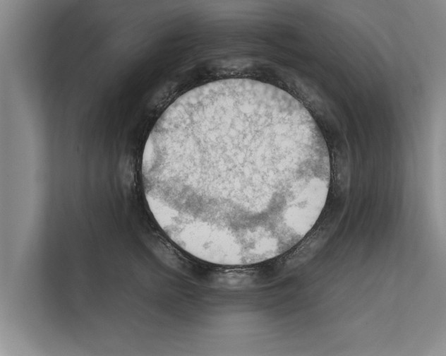 X0000111600758200908271008