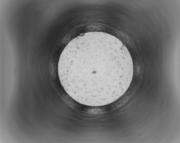 X0000111600759200908271008