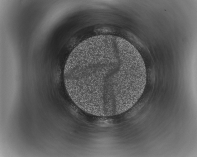 X0000111600760200908271008