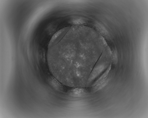 X0000111600762200908271008