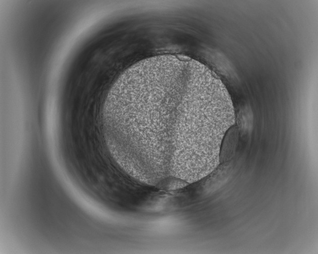 X0000111600764200908271008