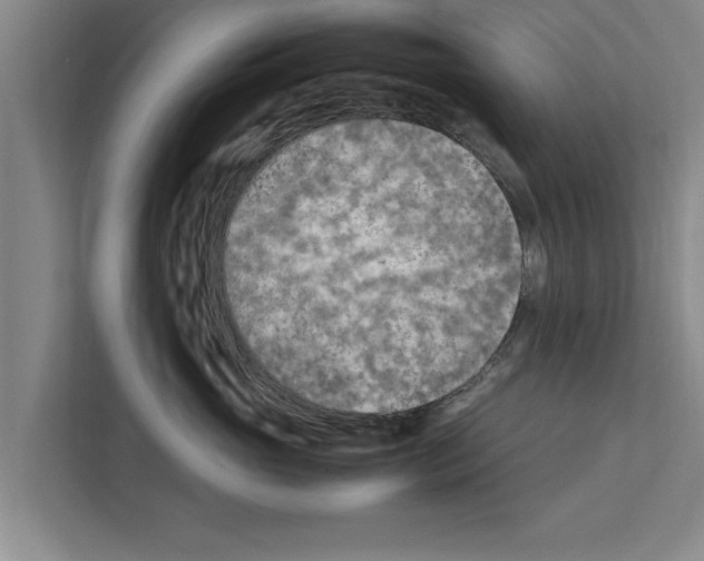 X0000111600765200908271009