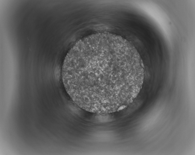 X0000111600767200908271009