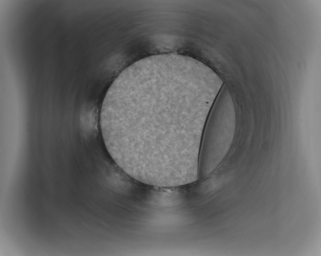 X0000111600768200908271009