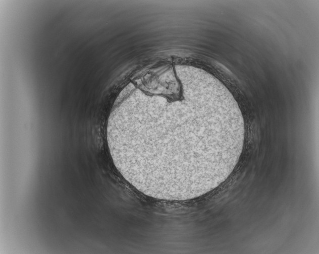 X0000111600774200908271008