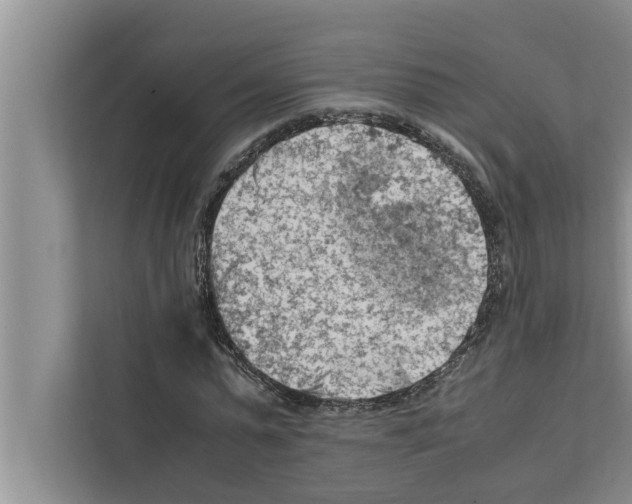 X0000111600775200908271008