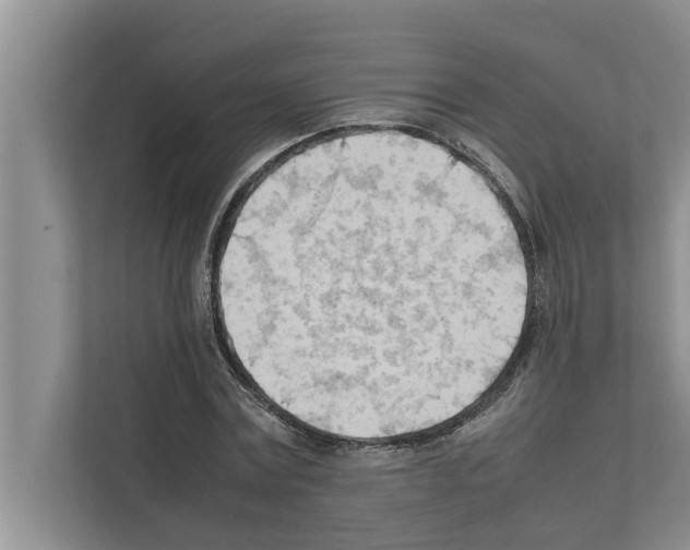 X0000111600779200908271008