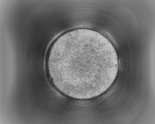 X0000111600780200908271008