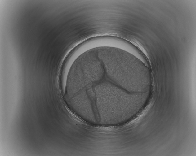 X0000111600781200908271008