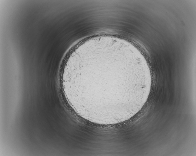 X0000111600784200908271008