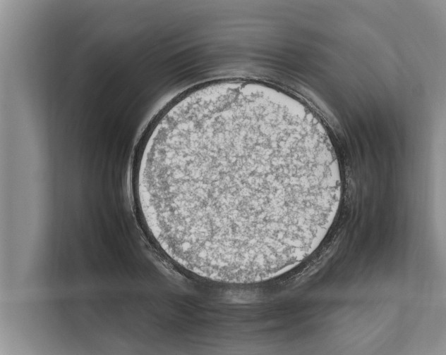 X0000111600788200908271008