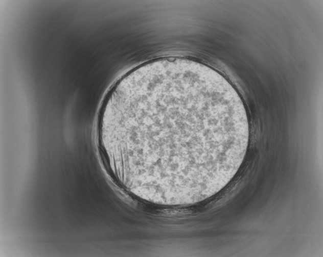 X0000111600795200908271008