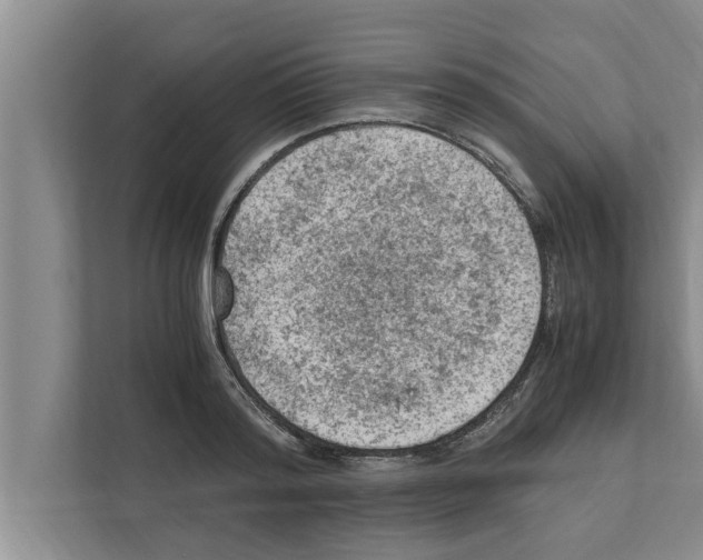 X0000111600796200908271008