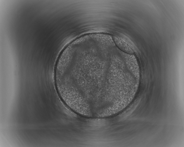 X0000111600797200908271008