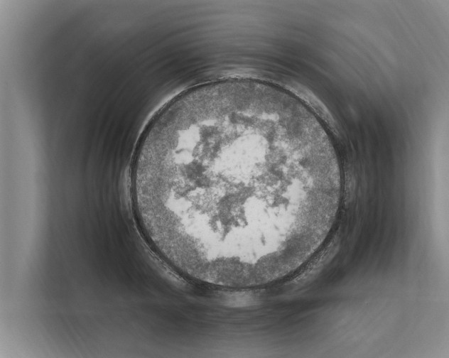X0000111600798200908271008