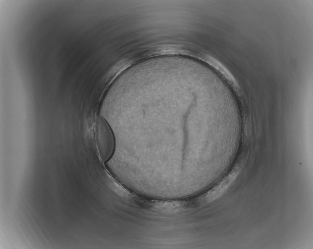 X0000111600801200908271008