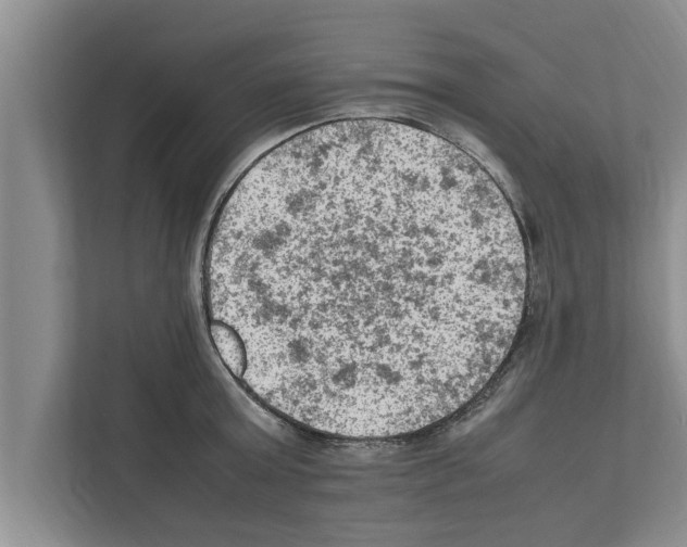 X0000111600803200908271007