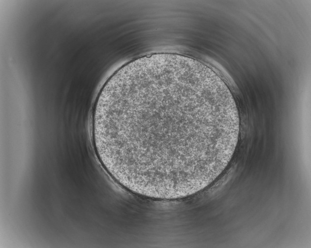 X0000111600804200908271007
