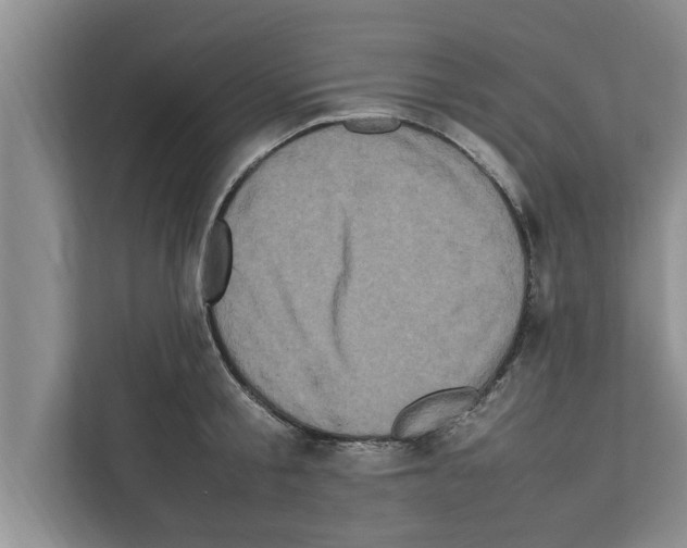 X0000111600805200908271007