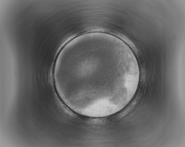 X0000111600806200908271007