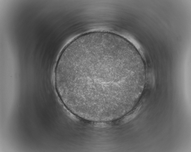 X0000111600807200908271007