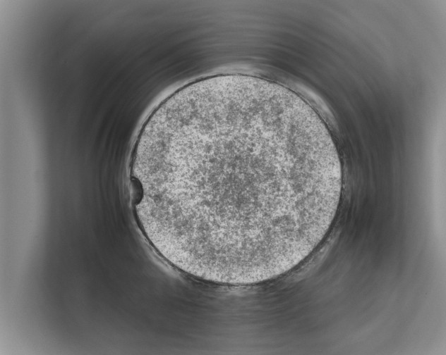 X0000111600808200908271007