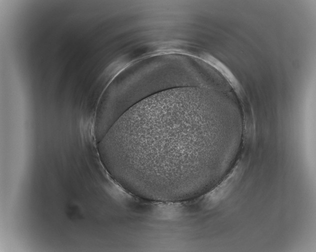X0000111600809200908271007
