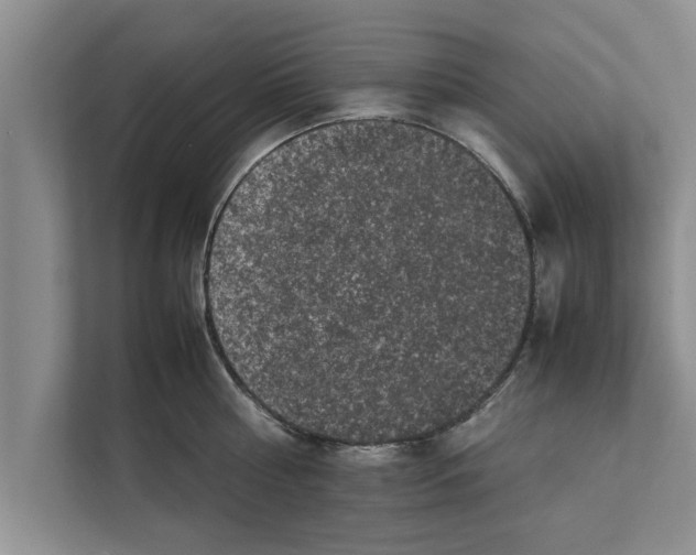 X0000111600810200908271007