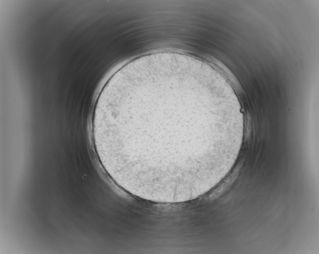 X0000111600812200908271007