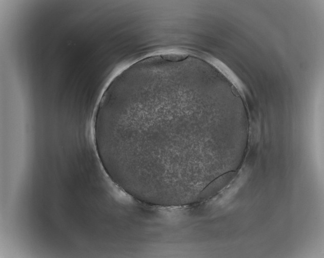 X0000111600813200908271007