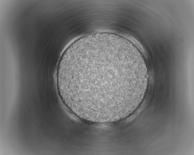 X0000111600814200908271007