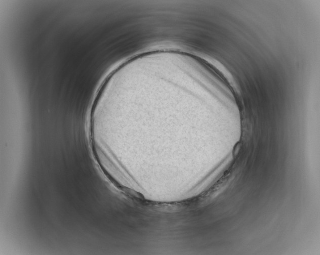 X0000111600815200908271007