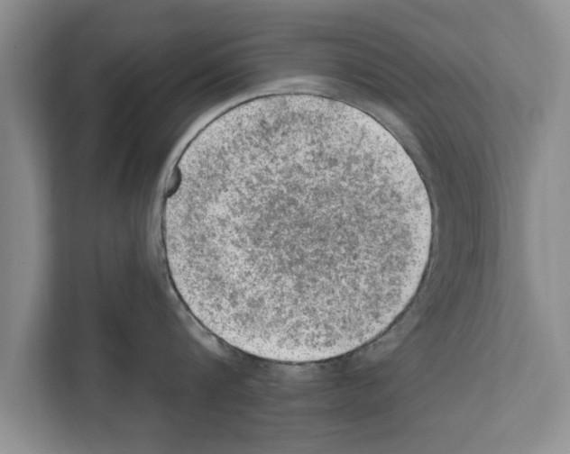 X0000111600816200908271007