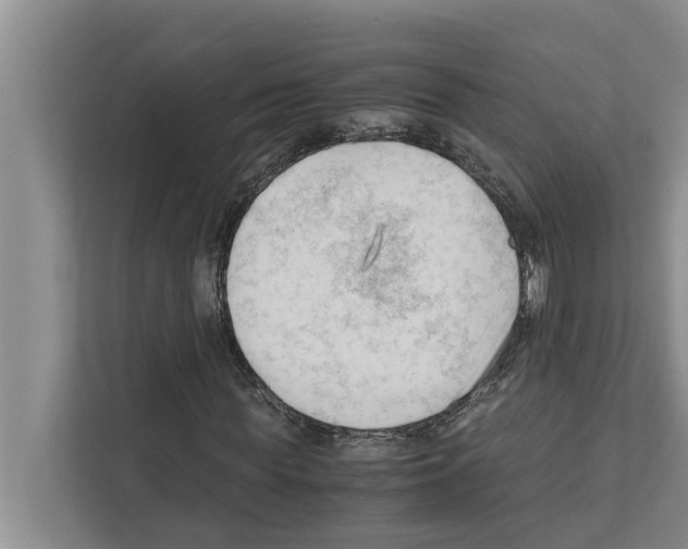 X0000111600819200908271007
