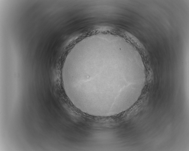 X0000111600824200908271007