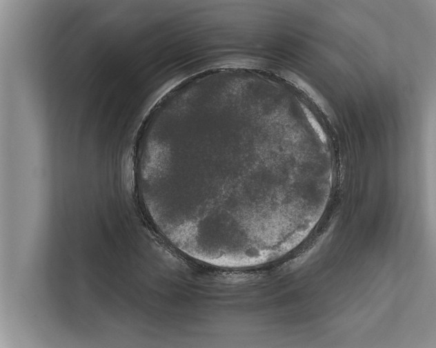 X0000111600829200908271007