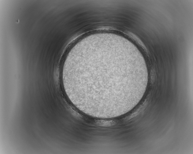 X0000111600831200908271007