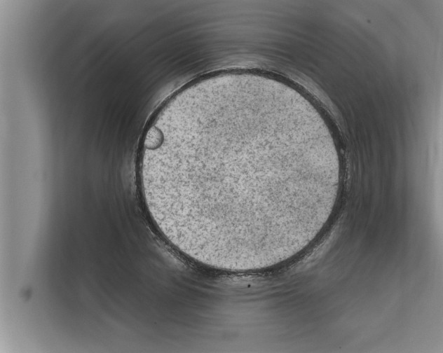 X0000111600834200908271007