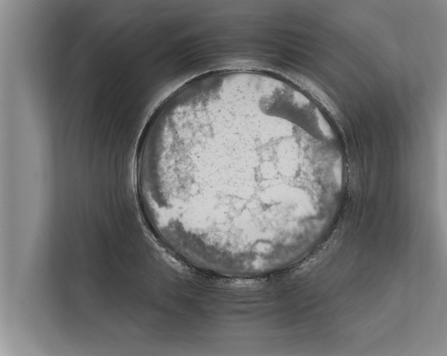 X0000111600839200908271007